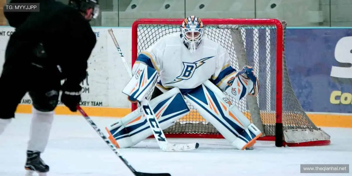 🔥一键直达全球赛事,你的热血主场永不缺席!🏆